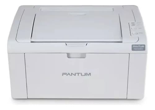 Impresora Pantum P2509w Laser Blanco Y Negro Wifi Recargable Gris