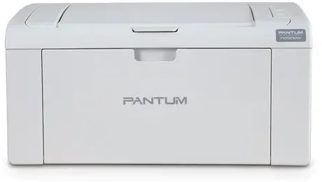 Impresora Simple Función Monocromática Pantum Hero P2509w Con Wifi Gris